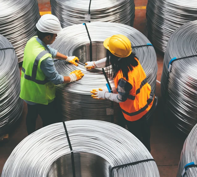 Case study: Tenova people management with SAP SuccessFactors