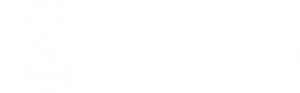 Saab simplify hiring with Workday extend SIMA app