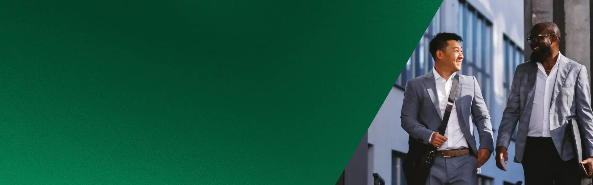 HR, finance and payroll professional services to support implementation and management of software solutions